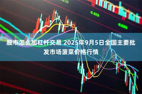 股市怎么加杠杆交易 2025年9月5日全国主要批发市场菠菜价格行情