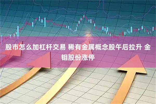 股市怎么加杠杆交易 稀有金属概念股午后拉升 金钼股份涨停