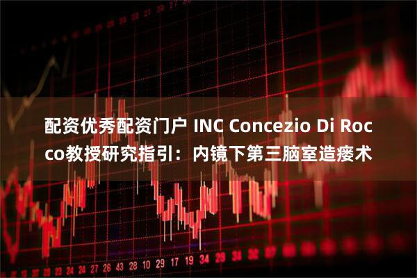 配资优秀配资门户 INC Concezio Di Rocco教授研究指引：内镜下第三脑室造瘘术